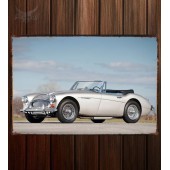 Металлическая табличка Austin Healey 3000 (MkIII) 022